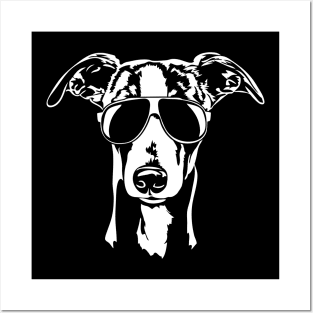 Whippet with sunglasses cool dog gift Posters and Art